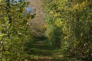 Chemin de balade autour du Grand gite de Chartres